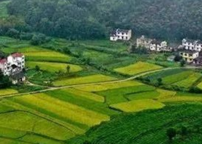 年安排3億元！福建加快推進農(nóng)村生活污水提升治理！