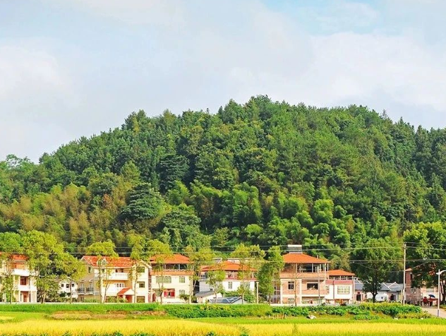生態(tài)環(huán)境部關(guān)于發(fā)布國家重點(diǎn)研發(fā)計劃 “大氣與土壤、地下水污染綜合治理”等3個重點(diǎn)專項2024年度項目申報指南的通知