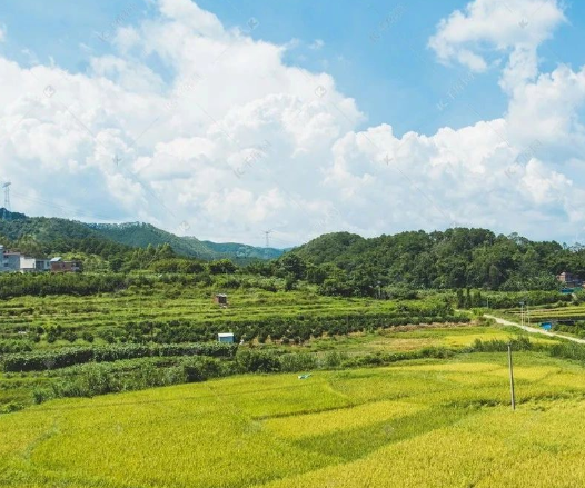 農(nóng)業(yè)農(nóng)村部答復(fù)關(guān)于大力促進現(xiàn)代農(nóng)業(yè)經(jīng)營主體健康發(fā)展的提案
