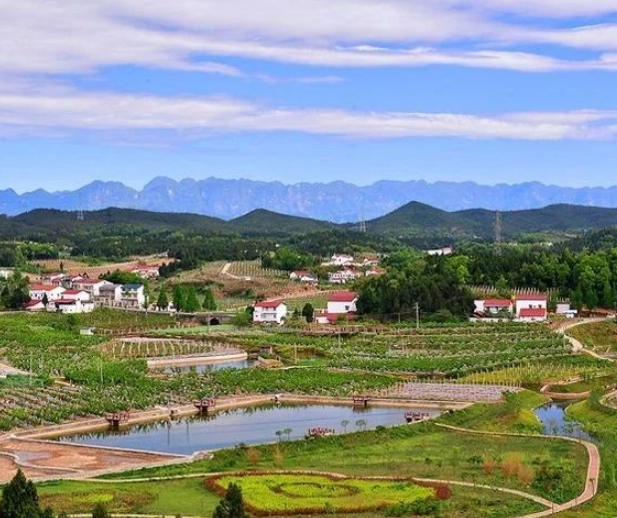 生態(tài)環(huán)境部丨《生態(tài)環(huán)境部門進一步促進民營經濟發(fā)展的若干措施》