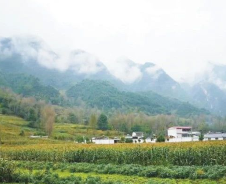 甘肅?。恨r(nóng)村生活污水治理（管控）率達到29.47%以上