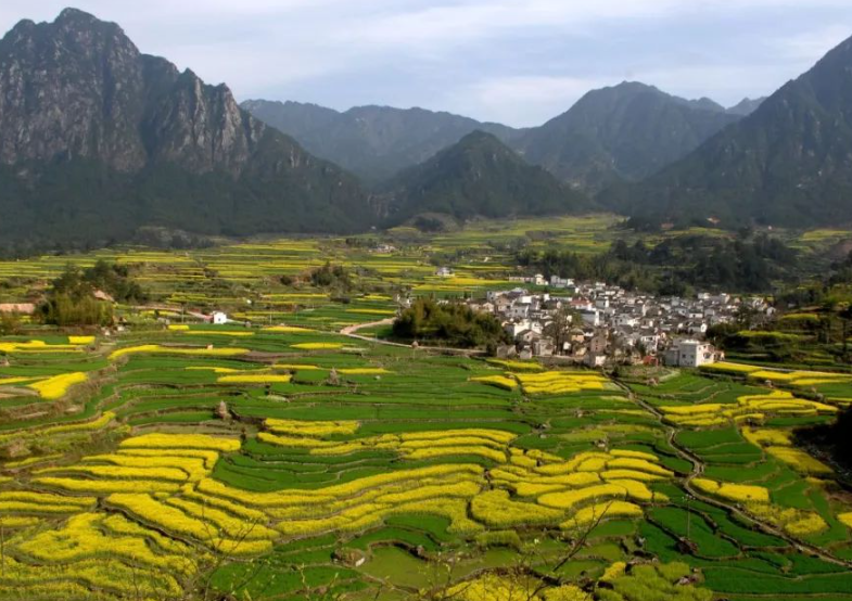 農(nóng)業(yè)農(nóng)村部有關(guān)負(fù)責(zé)人就落實(shí)《國(guó)務(wù)院辦公廳關(guān)于踐行大食物觀構(gòu)建多元化食物供給體系的意見》答記者問(wèn)